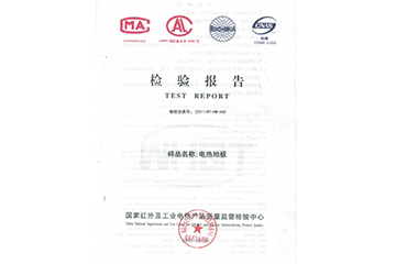 檢驗報告